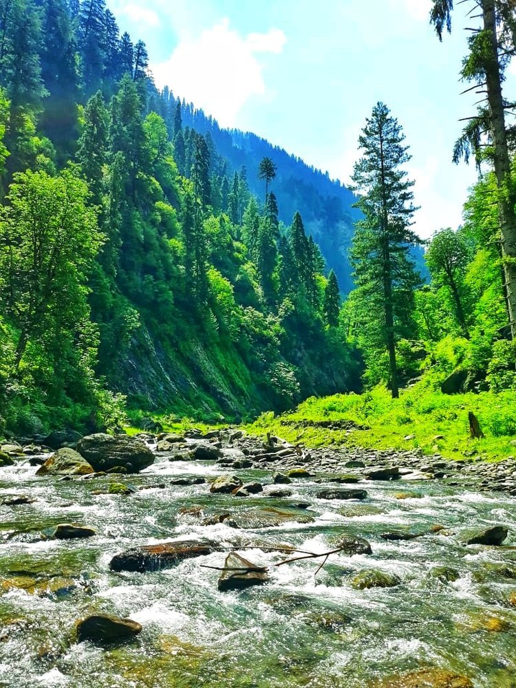 Фотография автора Imran Arif