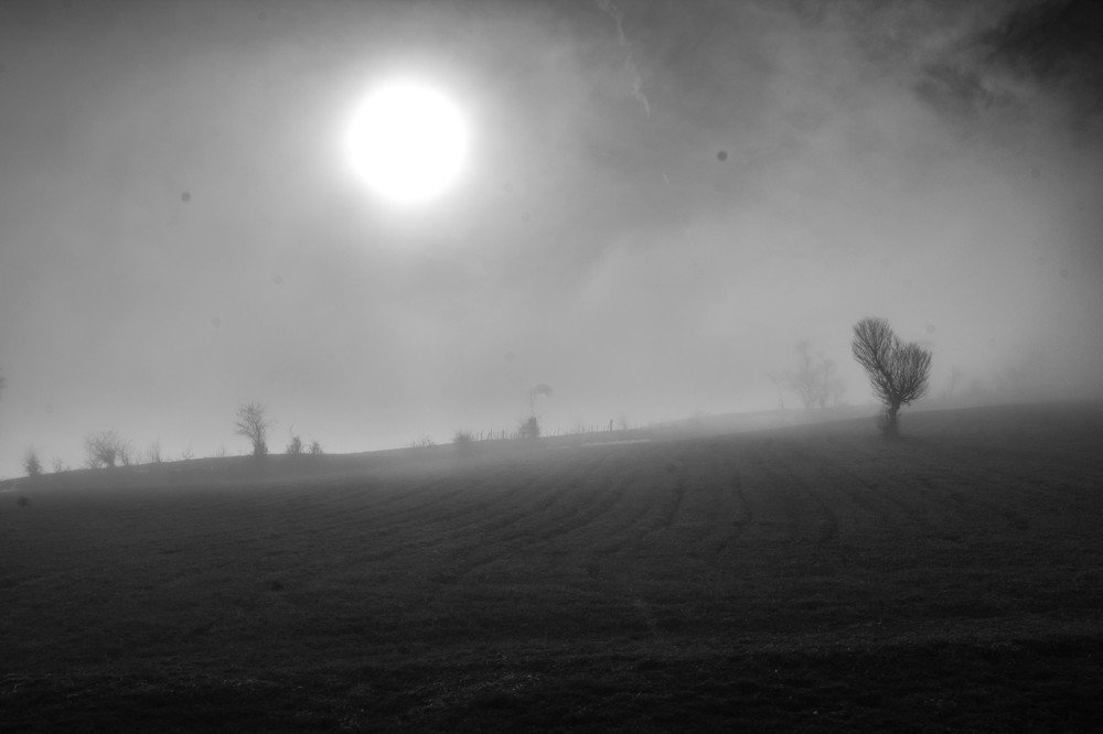 Photograph by Pourarab Mohammad Mahdi