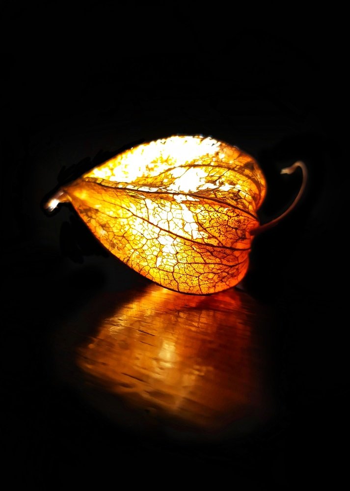 Photograph by Gloomy.27