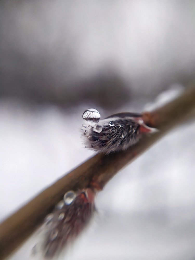 Photograph by Gloomy.27