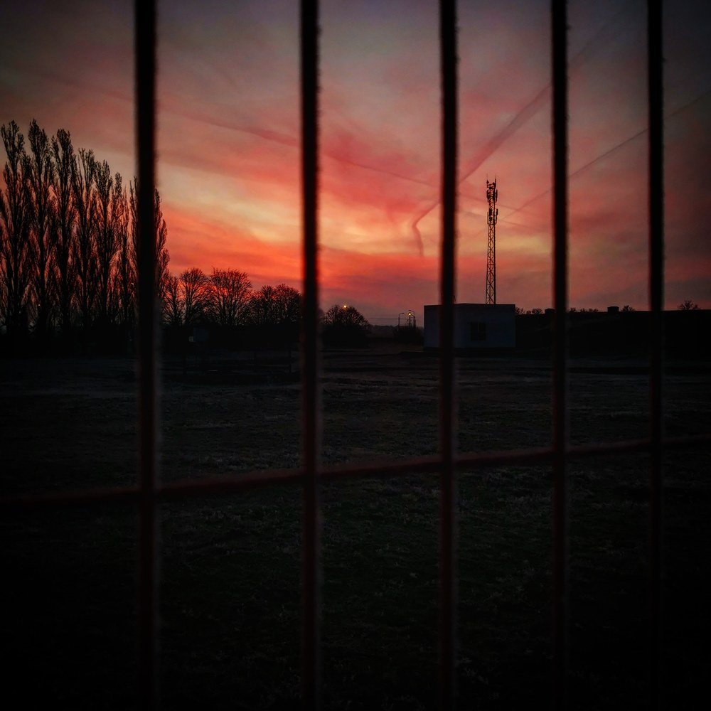 Photograph by Владимир Плотников