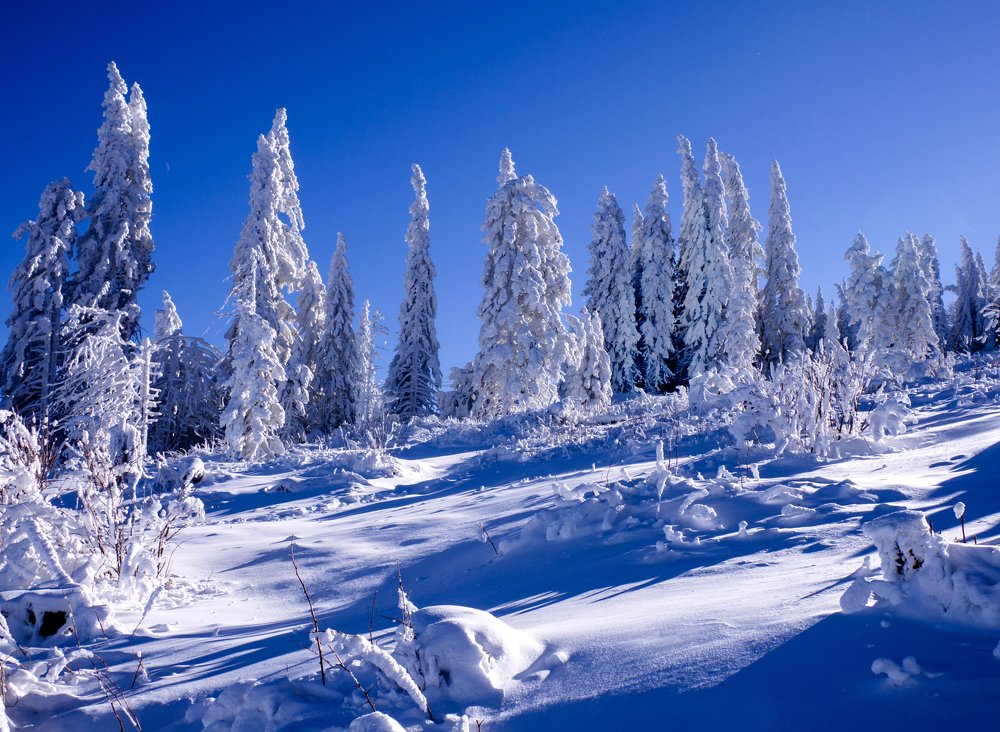 Photograph by Estislav Ploshtakov