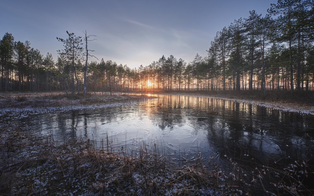 Photograph by Антон Кононов