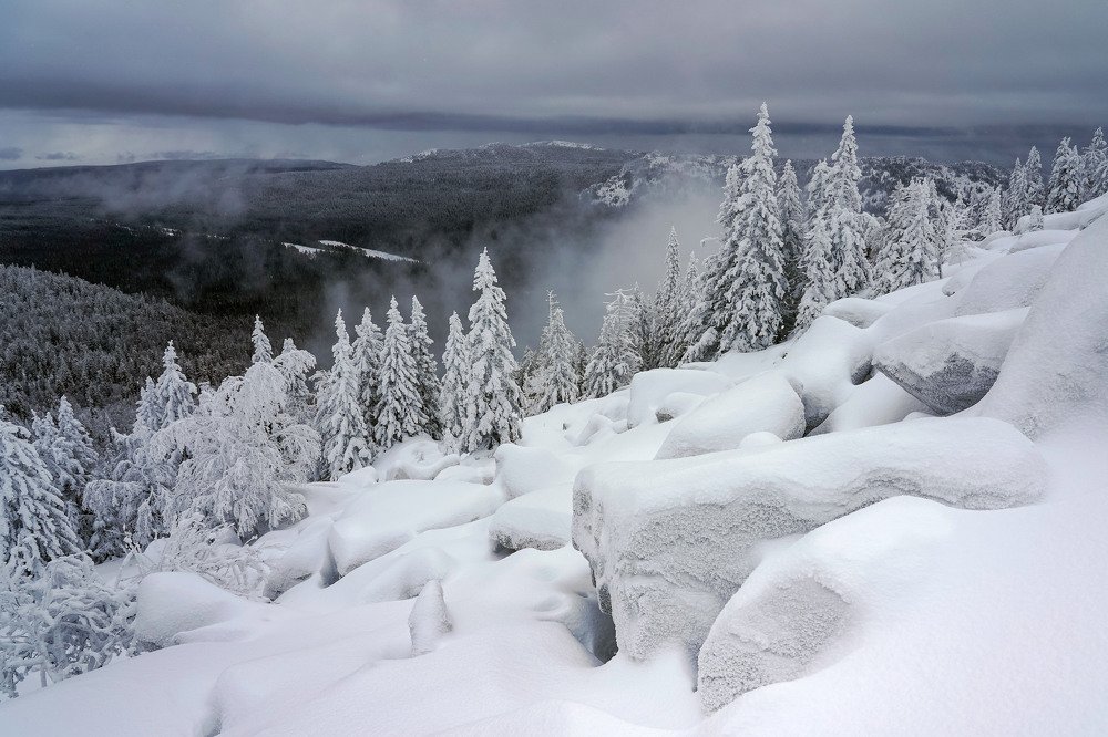 Линии суровости