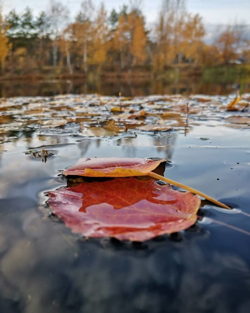 Photograph by Оля Герасимова