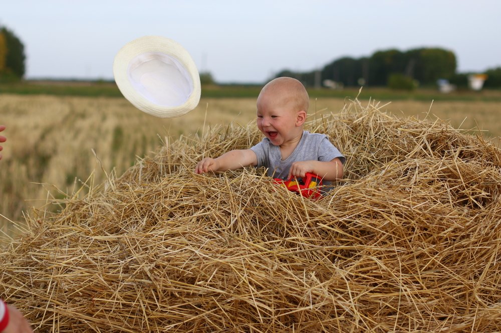 Полет шляпы