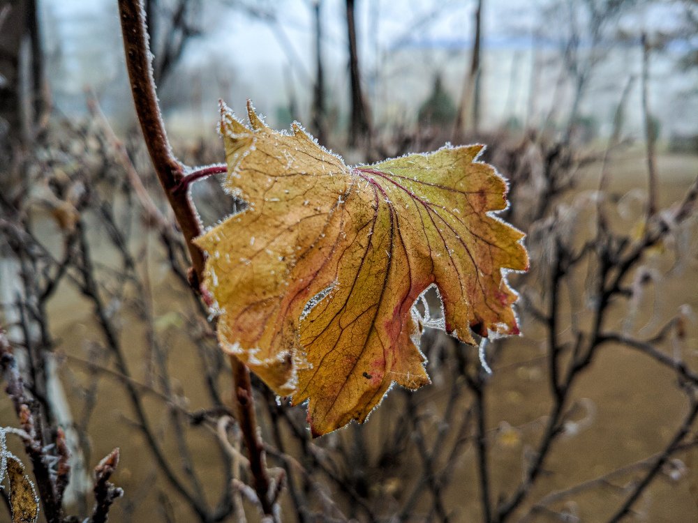 Photograph by Наталья Брунилина