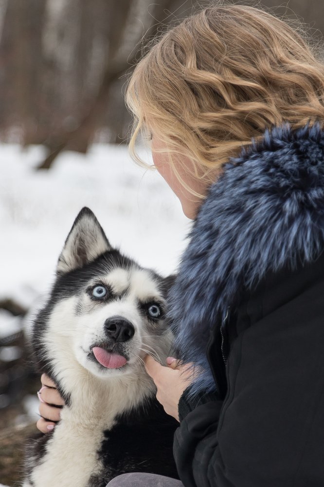Мы с тобой одной крови , ты и я .  Но я бегаю быстрее.