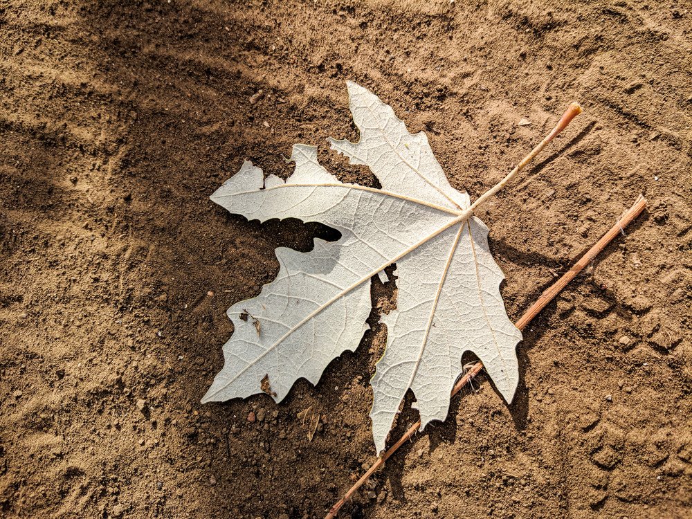 Photograph by Наталья Брунилина