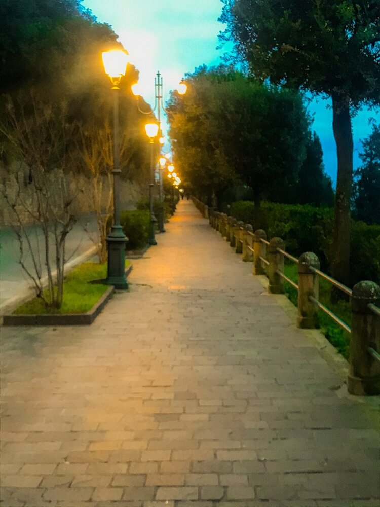 Photograph by Francesca Trafeli