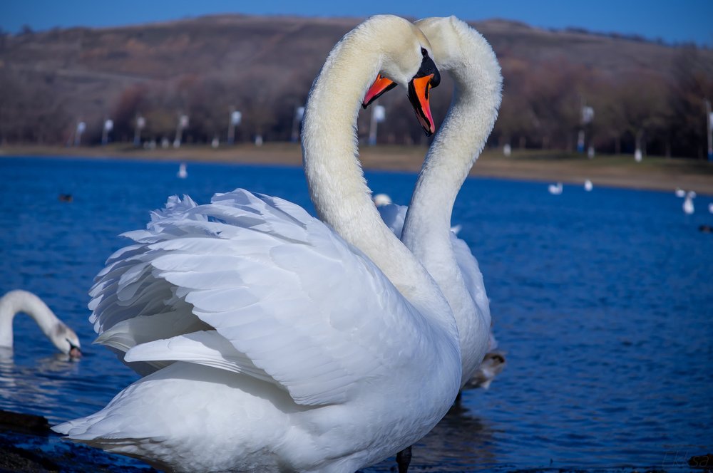 Photograph by Сергей Эккарт