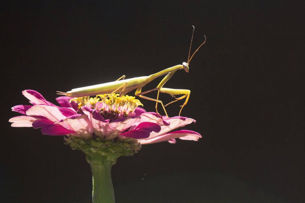 Photograph by Selma Kotancı