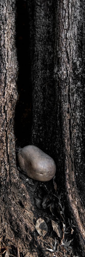 Photograph by Андрей Иванов