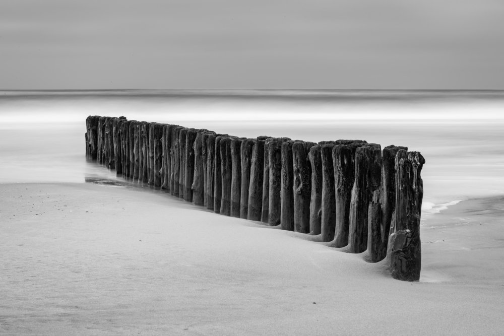 Photograph by Niklas Neubauer