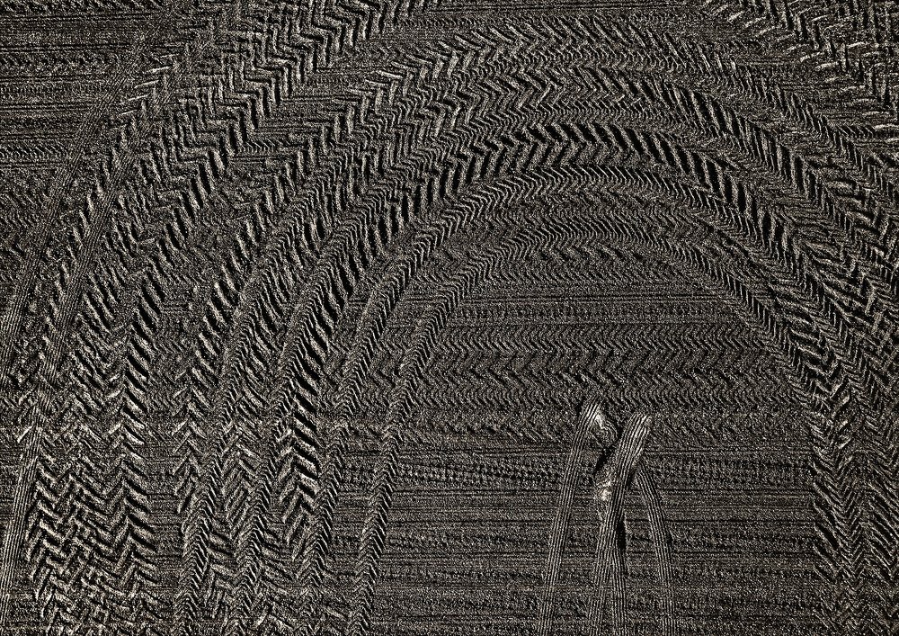 Photograph by Антон Воронин