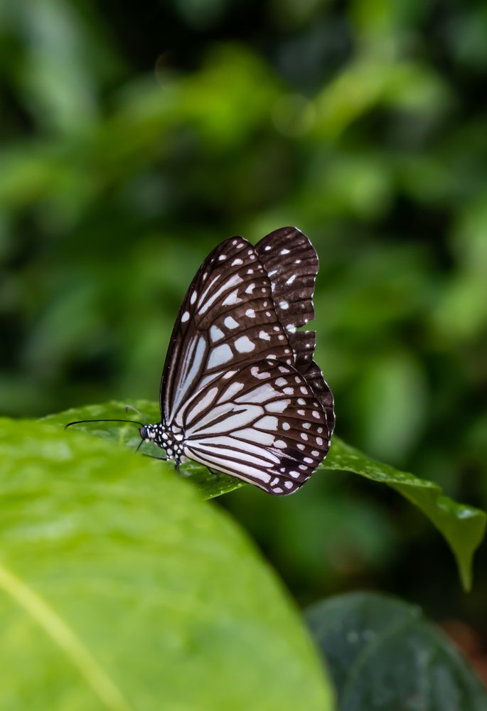 Photograph by Pabasara Malinda