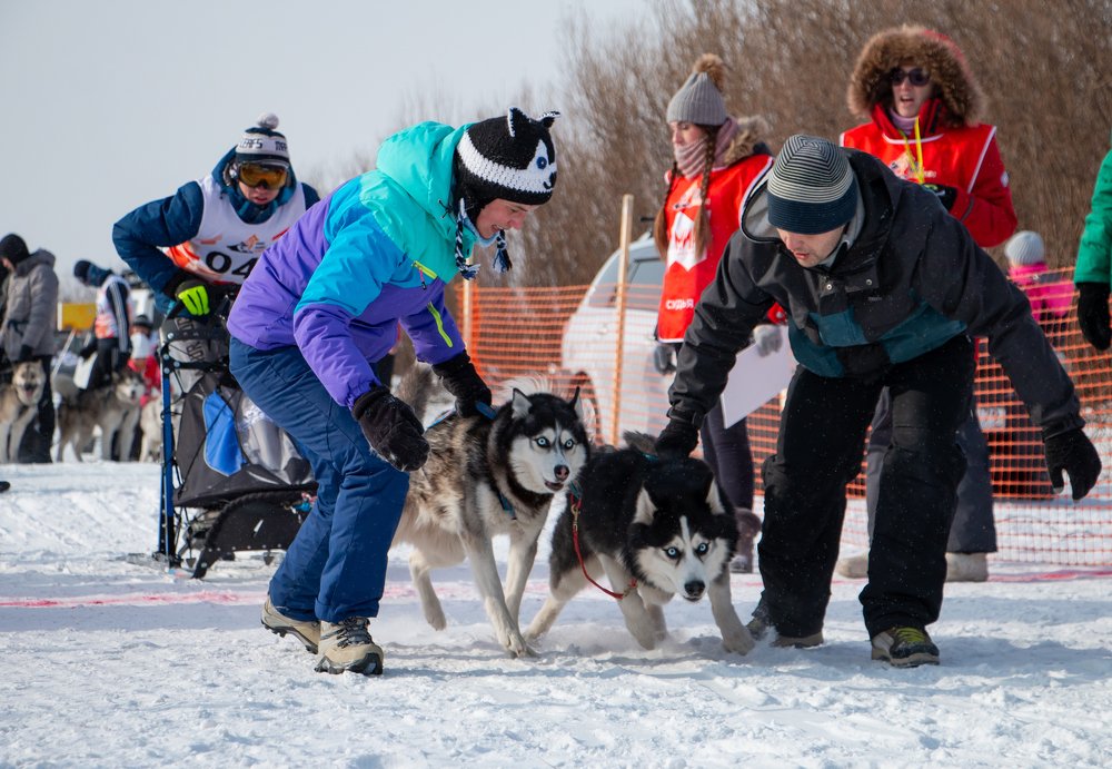 Photograph by Ирина Фастовец