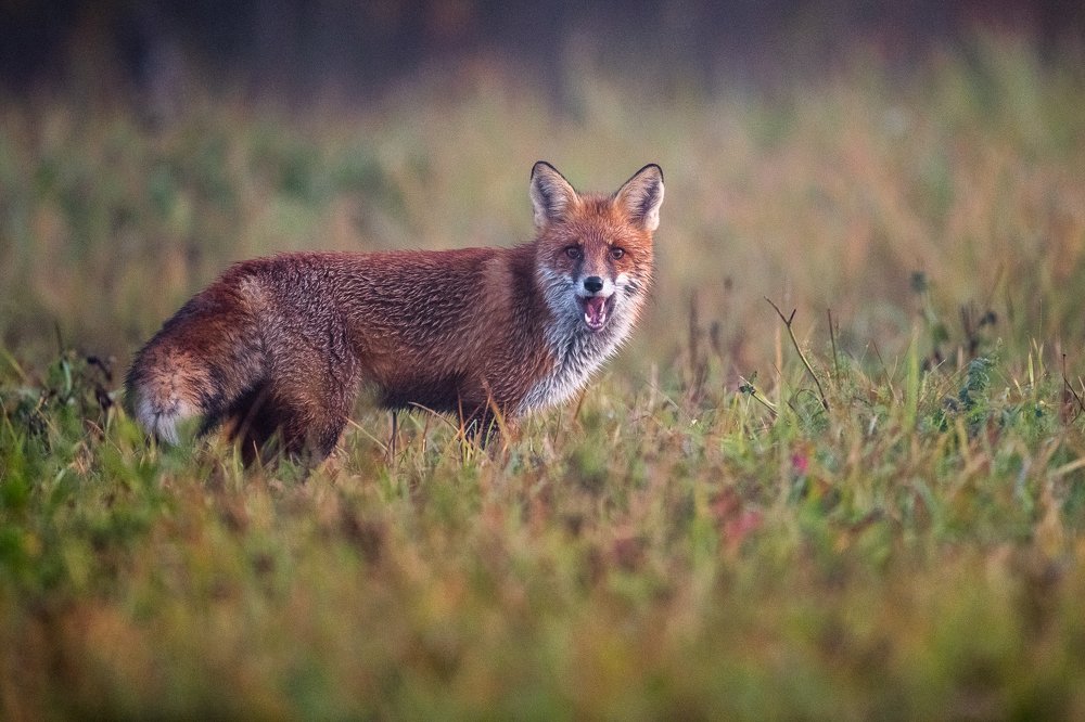 Photograph by Kreicbergs Maris