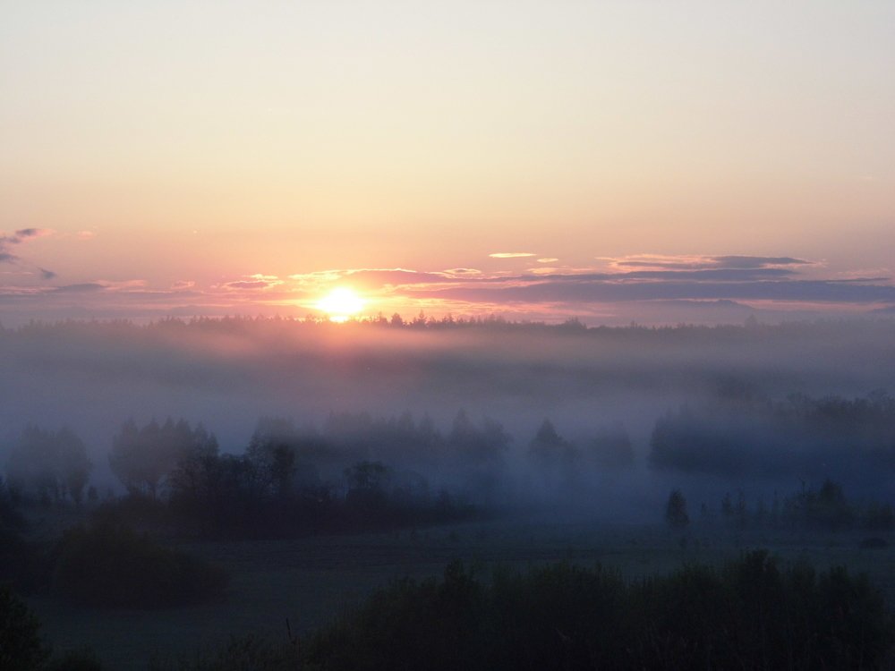 Отдельная реальность