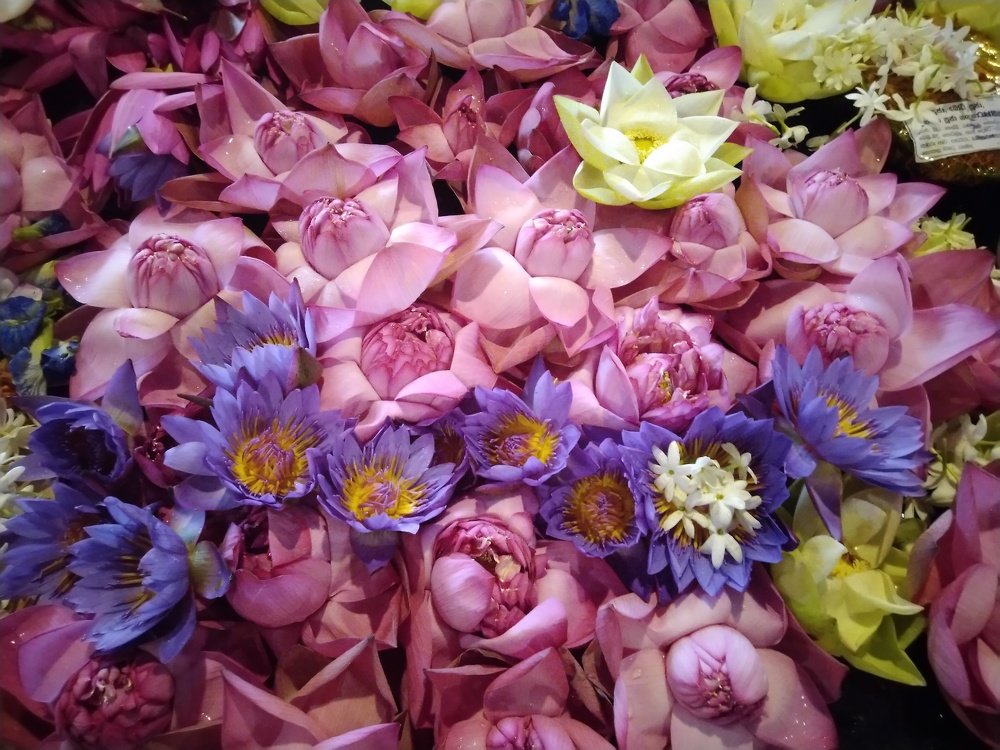 Photograph by Ирина Кулагина