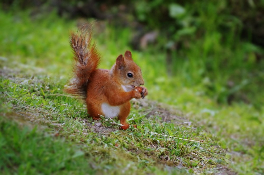 Photograph by Элла Слюсарь