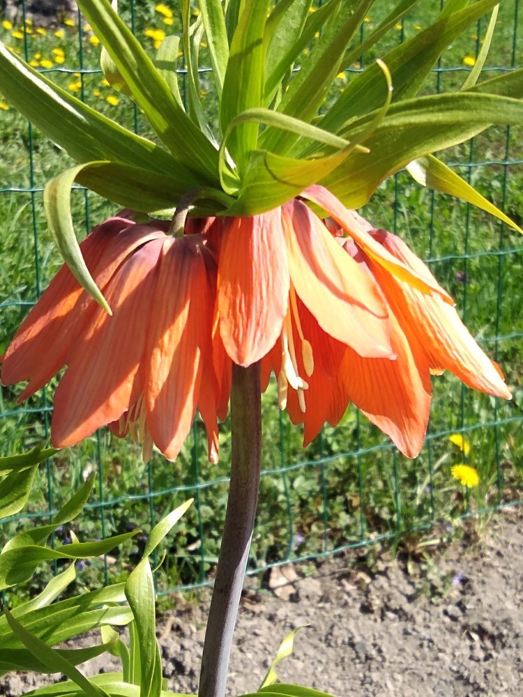 Photograph by Светлана Замятина