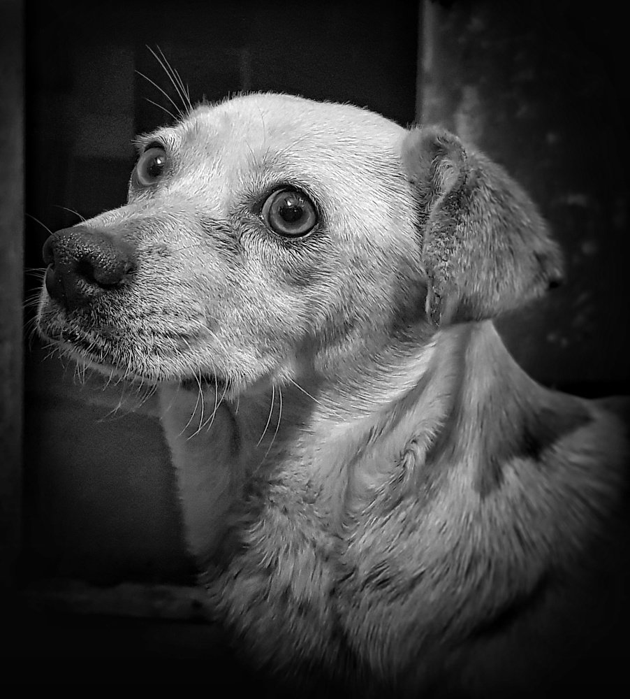 Photograph by Максим Митченко