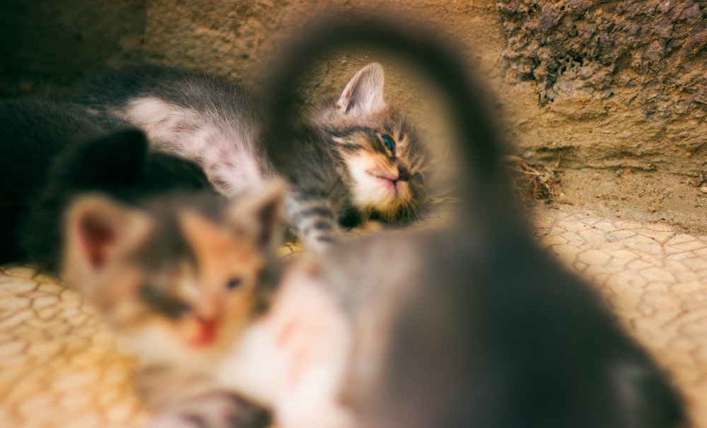 Photograph by Мансур Гаджиев