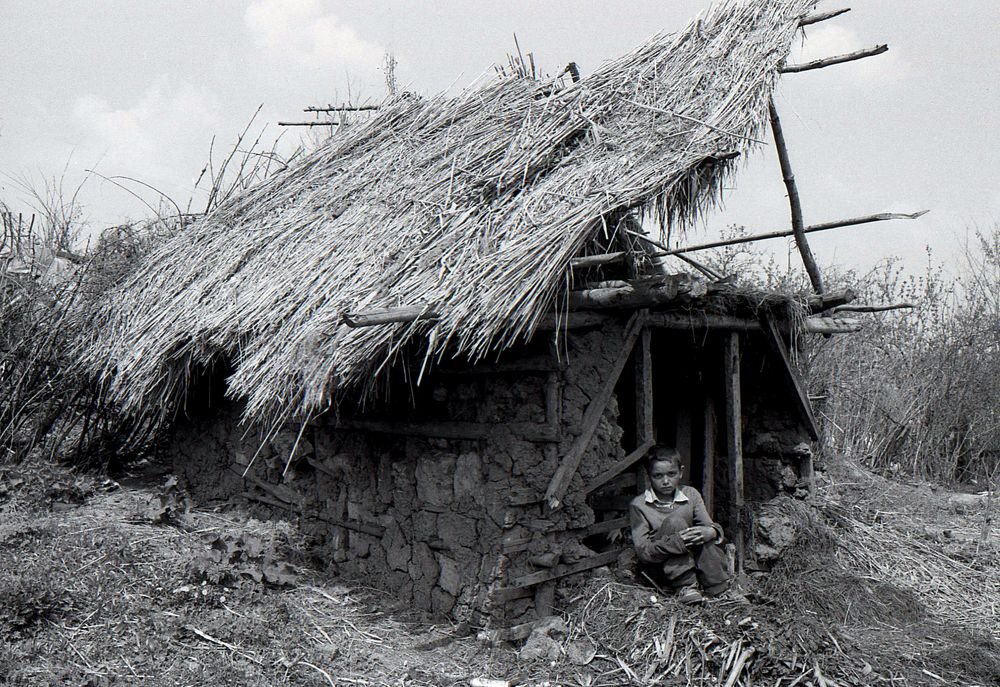 Photograph by TIBOR JAKAB