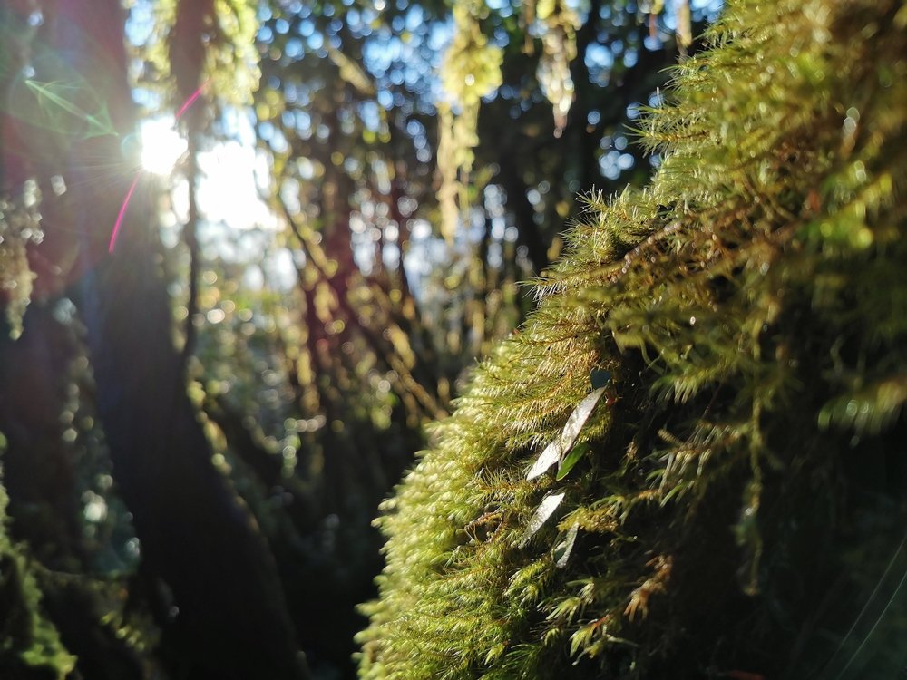 Photograph by Tengku Amirul