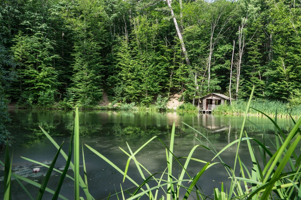 Домик у лесного озера