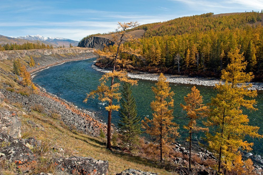 Позолота сентября.