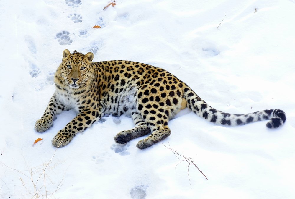 Photograph by Виктор Игнатенко.