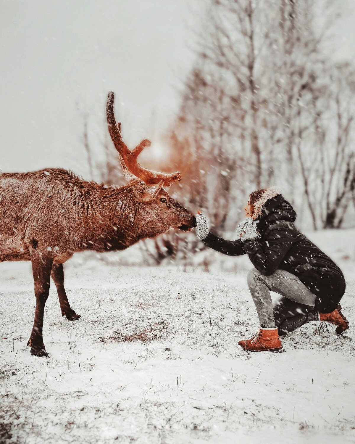 Photo #4375662