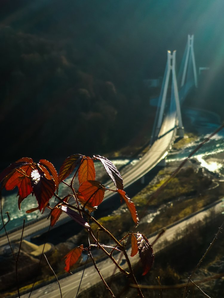 Photograph by Елена Желяева