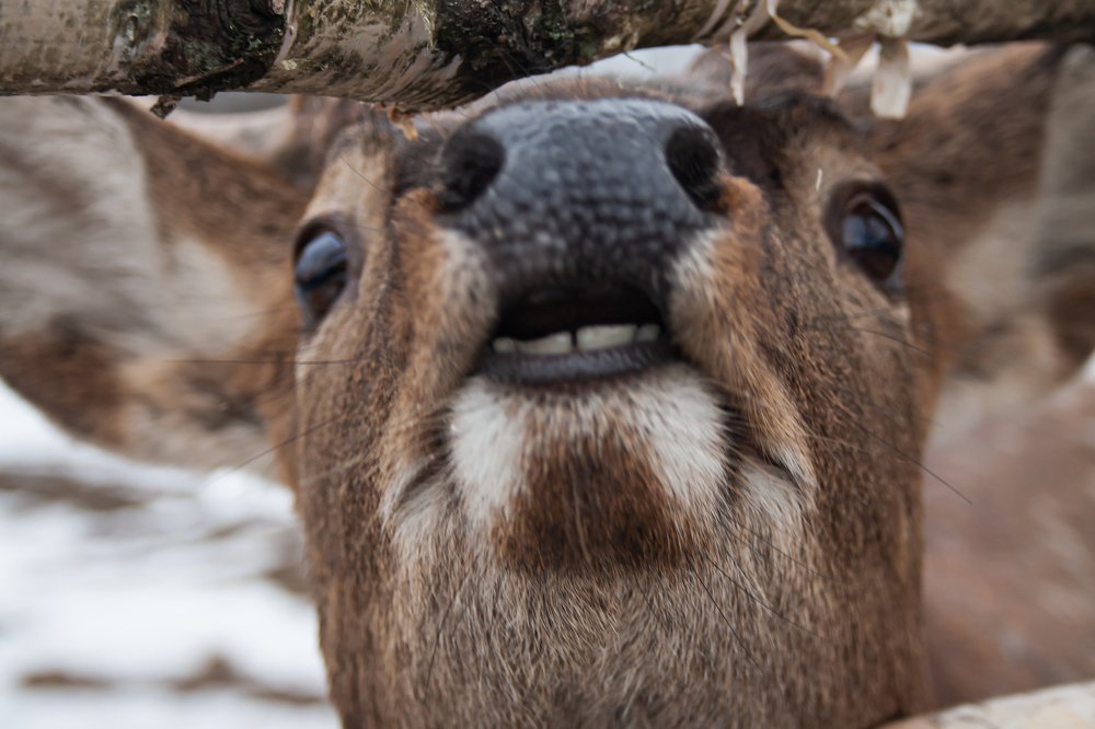 Photograph by Юлия Горшенина