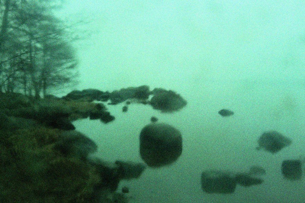 Photograph by Анастасия Сушинская