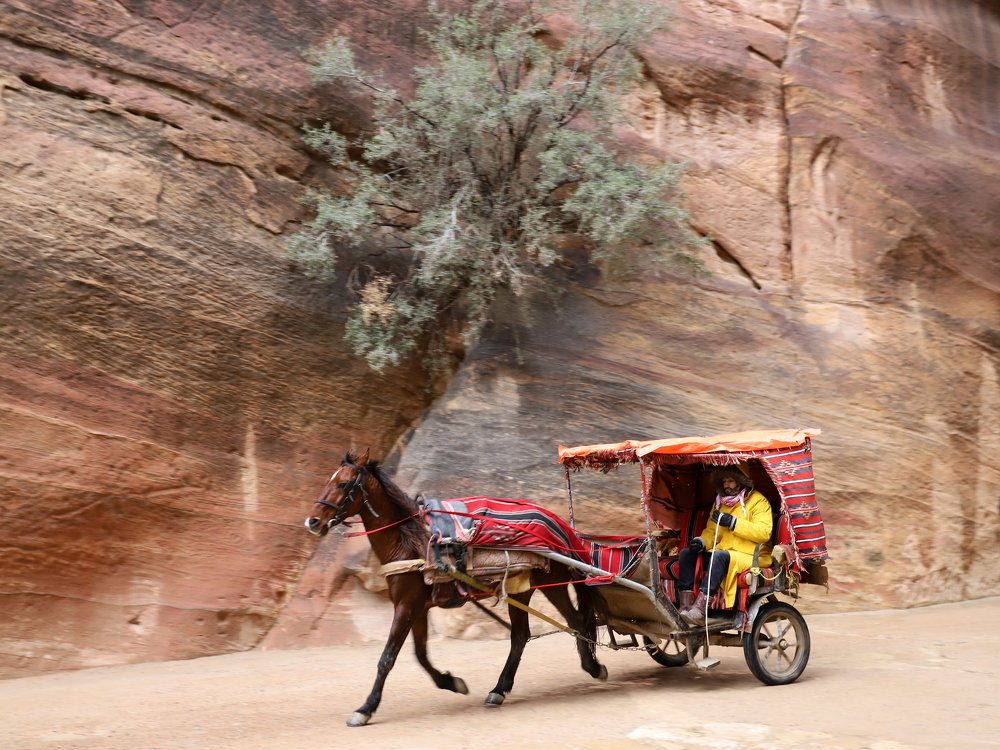 Photograph by Екатерина Мстиславская