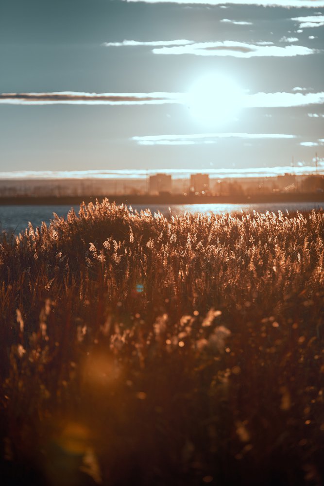 Photograph by Денис Щиголев