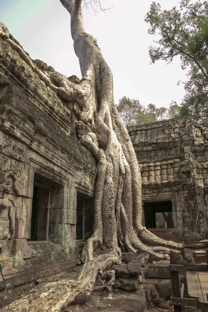 Photograph by klara Neikov