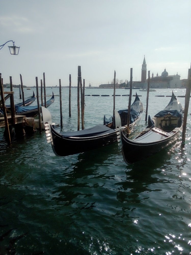 Photograph by Ksenija Perković