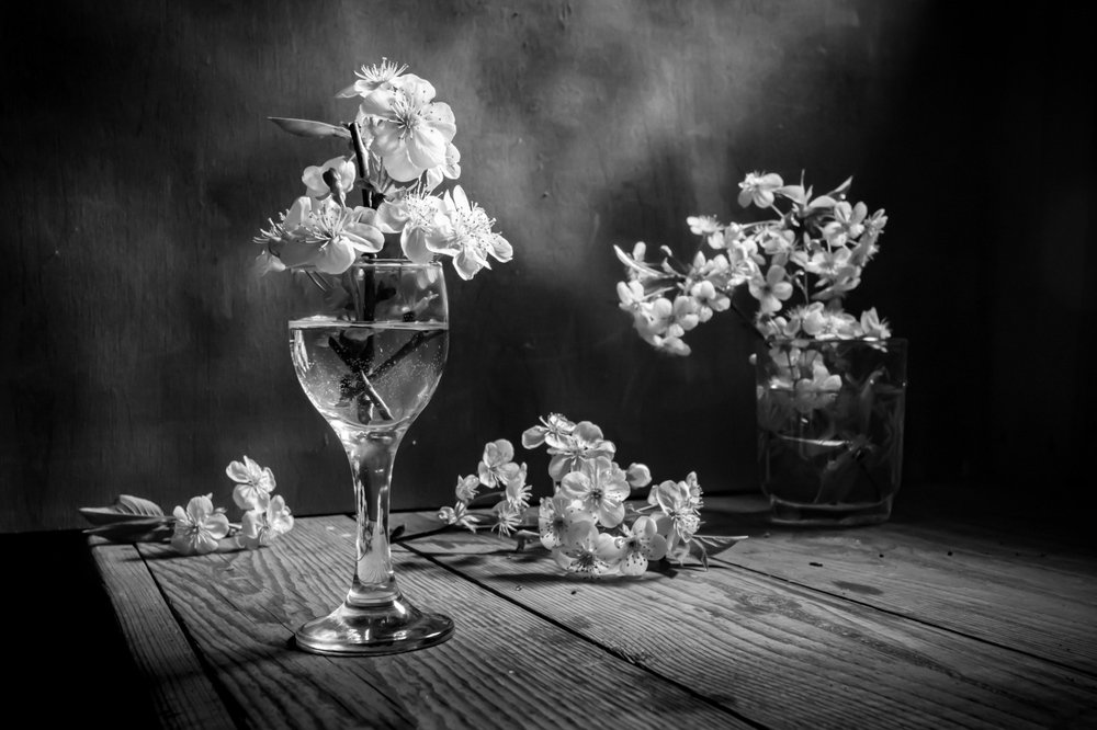 Photograph by Татьяна Макотра