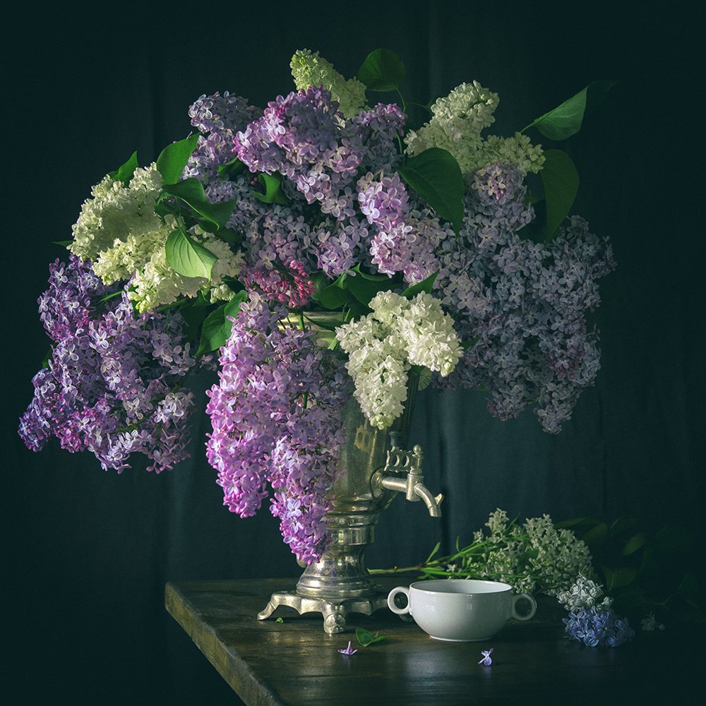 Photograph by Petya Radkova