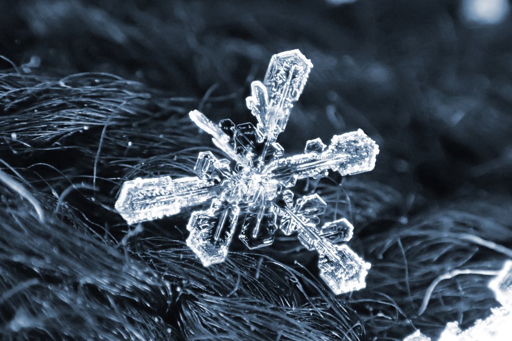 Ледяная прелесть