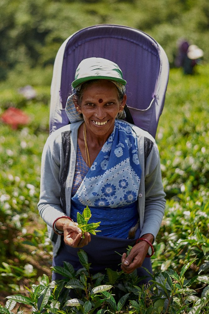 Photograph by Алена Про