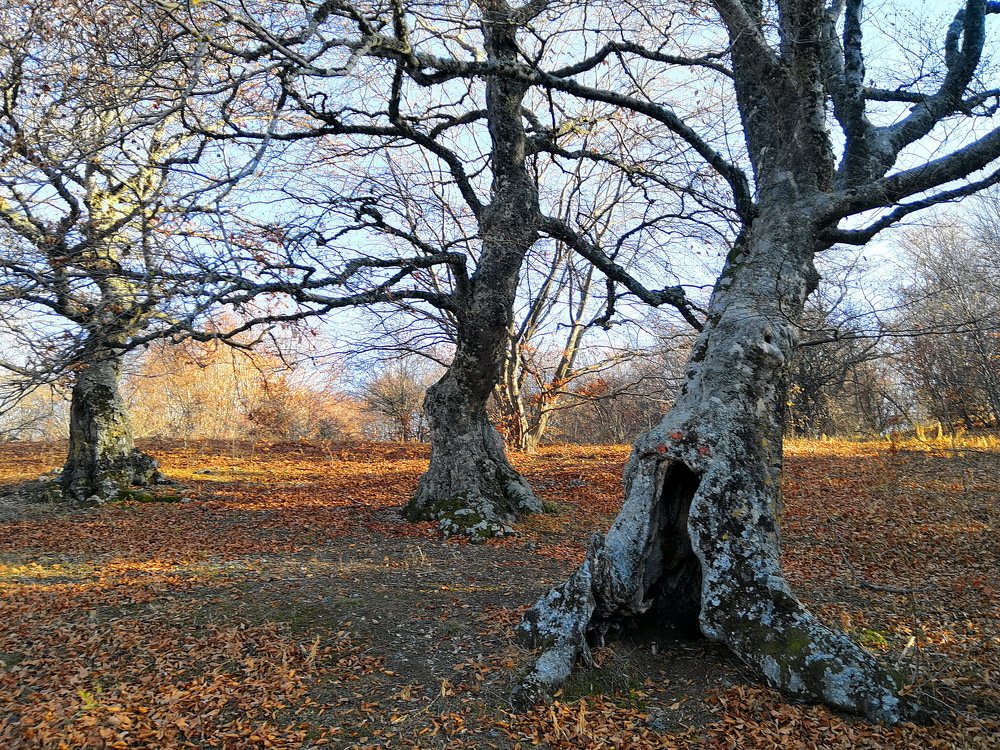 Photograph by Леонид