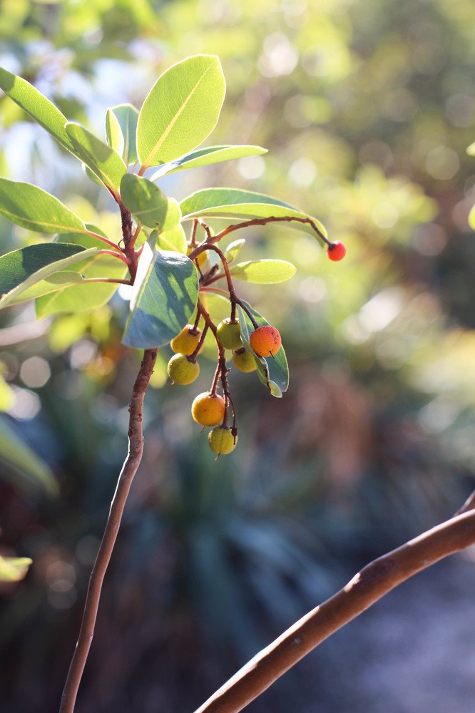 Photograph by Екатерина Романова