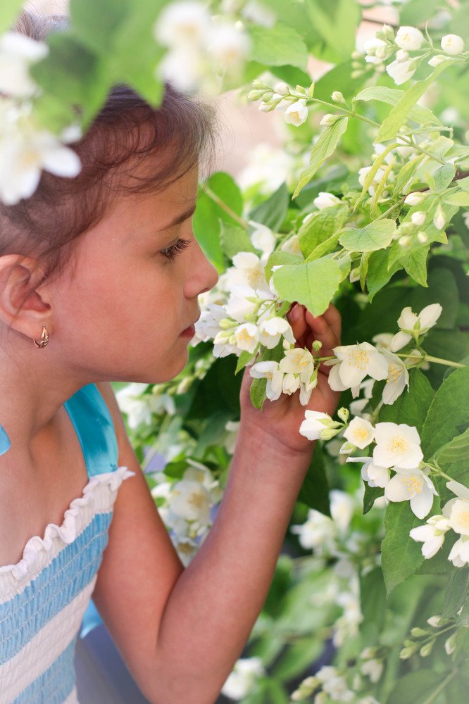 Photograph by Екатерина Романова