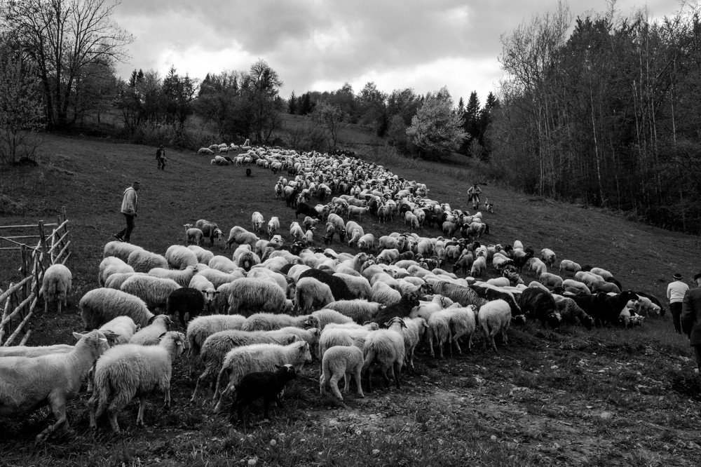 Photograph by Anna Piwowarska-Sosik