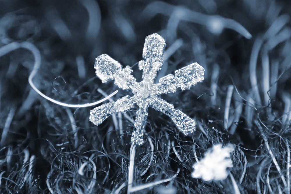 Бриллианты макромира